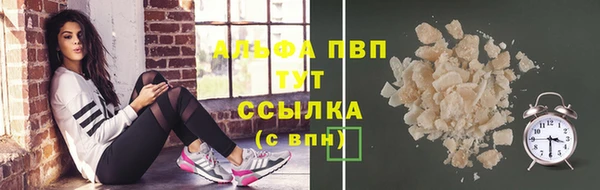 крисы Абаза