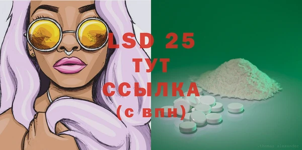 крисы Абаза