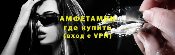 крисы Абаза