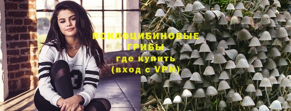 дживик Покров