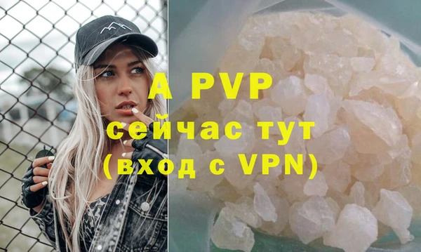 крисы Абаза