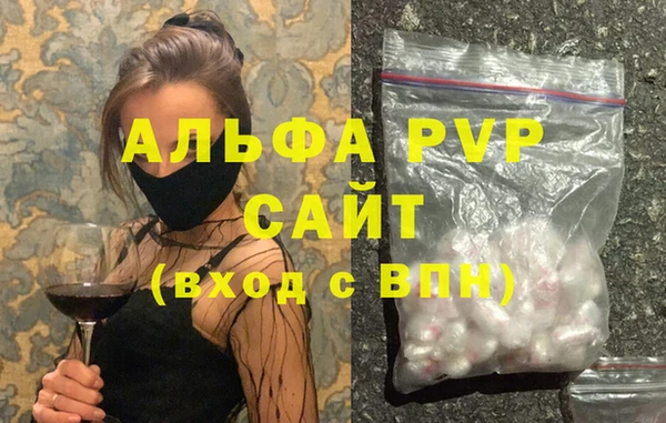 крисы Абаза