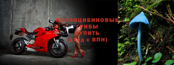 гидропоника Абдулино