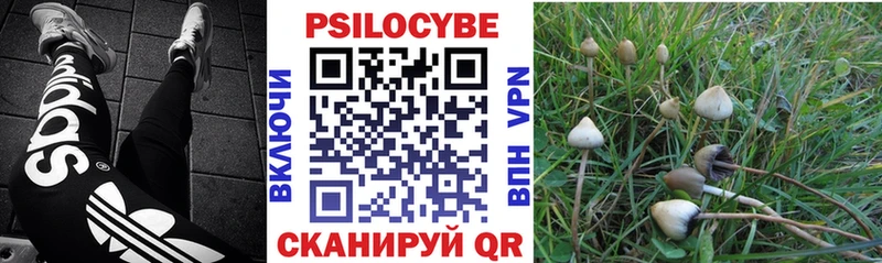 Псилоцибиновые грибы GOLDEN TEACHER  Нефтегорск 